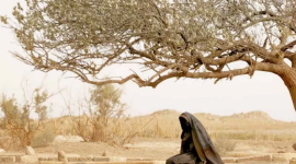 سبب منع عرض فيلم سيدة الجنة