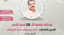 أحمد الشيباني.jpeg