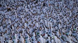 حجاج.jfif