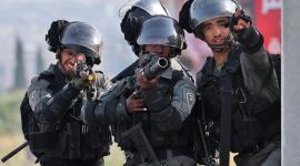 ارشيفية