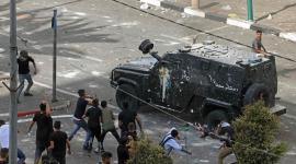 ارشيفية