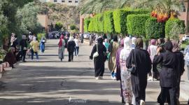 جامعات