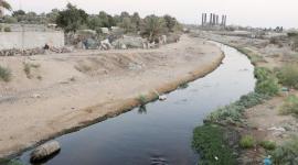محمية طبيعية بغزة