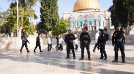 123مستوطنا يقتحمون الأقصى اليوم وينفذون جولات استفزازية