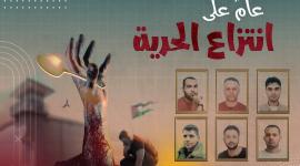 انتزاع الحرية سجن جلبوع
