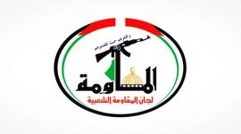 للجان المقاومة في فلسطين