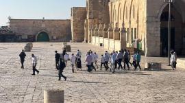 الاقصى.jpg