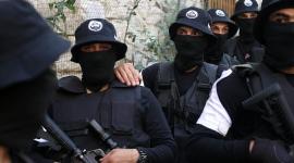 عرين الأسود