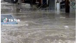 غرق مخيم الشاطئ.PNG