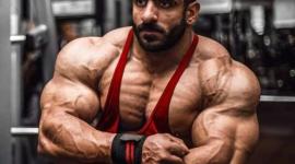 هادي شوبان