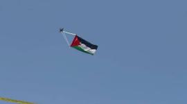 العلم الفلسطيني.jpg