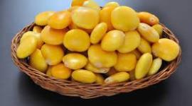 فوائد الترمس