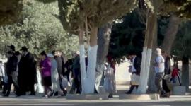 مستوطنون يقتحمون المسجد الأقصى المبارك بحراسة من قوات الاحتلال (1).jpeg