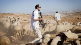 مستوطنون يسرقون 30 رأسا من الأغنام شرق رام الله