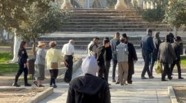 اقتحام (5).jpeg