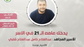 الاسير شلبي.jpeg