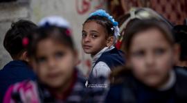 عربة للمدارس (10).jpg