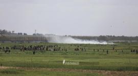 مهرجان شرق ملكة (2).jpeg
