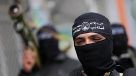 كتائب المجاهدين
