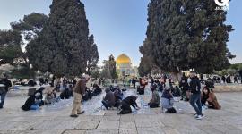 المسجد الأقصى (3).jpeg