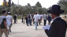 مستوطنون خلال اقتحامهم للأقصى