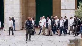 مجموعات المستوطنين المتطرفين تقتحم باحات الأقصى بحماية أمنية مُشددة