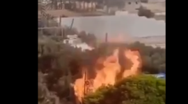 صورة من الفيديو