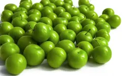 الكرز الأخضر