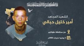 الشهيد امير حبالي.jpg