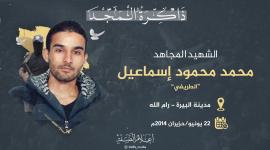 الشهيد محمد إسماعيل.jpg