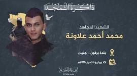علاونة.jpg