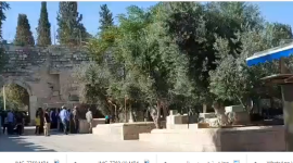اقتحام الاقصى.PNG