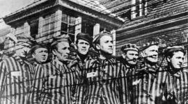 gal.ebay-holocaust.jpg_-1_-1_1.jpg