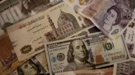 الدولار مقابل الجنيه المصري