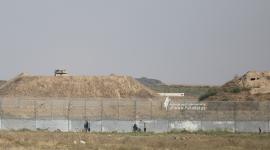 ارشيفية