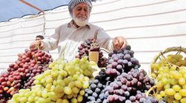 صورة ارشيفية من الانترنت