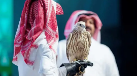 صقور