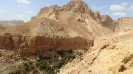 مقتل إسرائيلي في الانهيار في عين جدي