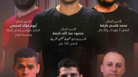 الكل