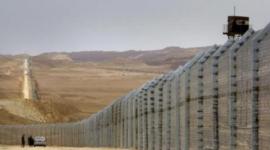 ارشيفية