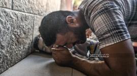 ارشيفية
