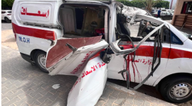 لقطة الشاشة 2023-10-07 141736