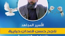 ناجح حبايبة