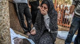 ارشيفية