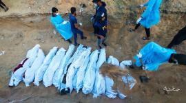 ارشيفية
