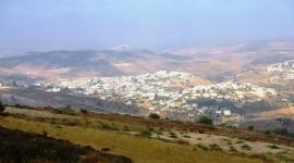 نحالين