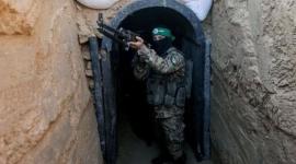 ارشيفية