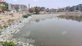 بركة الشيخ رضوان