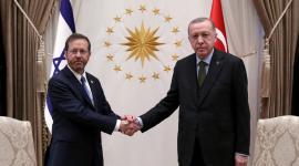 هرتسوغ-وإردوغان