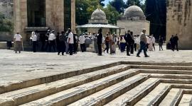 اقتحام المسجد الأقصى